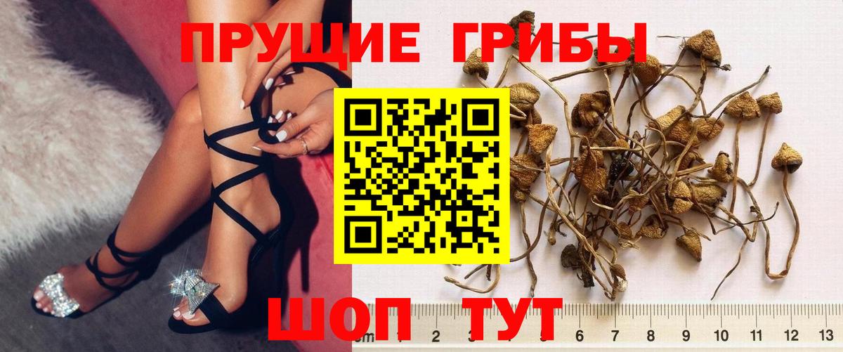 Ярославль  Псилоцибиновые грибы мухоморы  Вход с VPN 